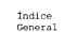 �ndice general